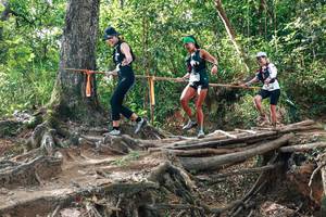 BIB: 
                            <button type="button" onclick="openModal(27556434)" class="btn btn-primary btn-sm float-right btn-popup" data-toggle="modal" data-target=".modal-high-quality">
                        <i class="fas fa-shopping-cart"></i> Add to Cart
                    </button>
                                            <button type="button" onclick="isThisMe(27556434, true)" class="btn btn-success btn-sm float-right btn-popup btn-isme hidden" data-toggle="tooltip" data-placement="bottom" title="นี่คือรูปของคุณใช่ไหม คลิกที่นี่เพื่อเอาเข้าอัลบั้ม">
                        <i class="fas fa-plus"></i> Add to album
                    </button>
                    <button type="button" onclick="isThisMe(27556434, false)" class="btn btn-warning btn-sm float-right btn-popup btn-isnotme hidden">
                        <i class="fas fa-ban"></i> Remove from album
                    </button>